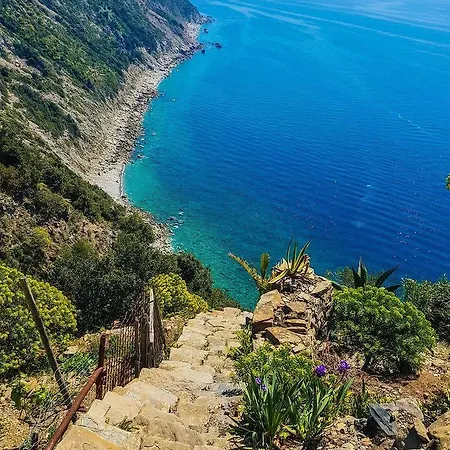 La Civetta Sul Como'