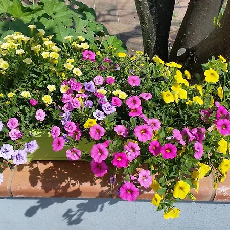 Casa de Férias La Civetta Sul Como'