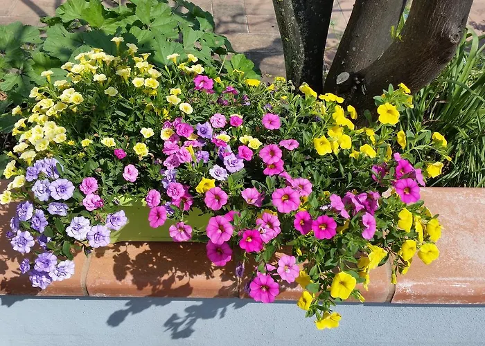 Дом отдыха La Civetta Sul Como'