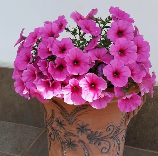 Дом отдыха La Civetta Sul Como' Специя